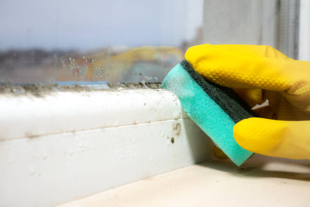 Best Mold Testing  in Fest Grove, OR